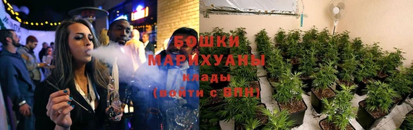 гидропоника Козловка